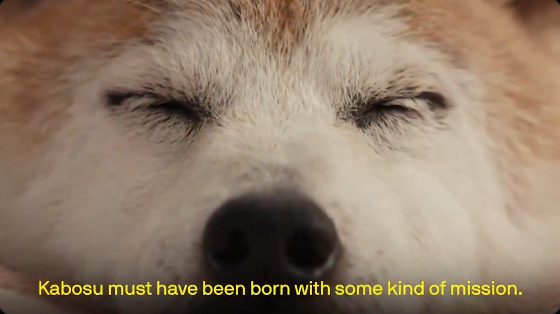 Kabosumama video thumbnail